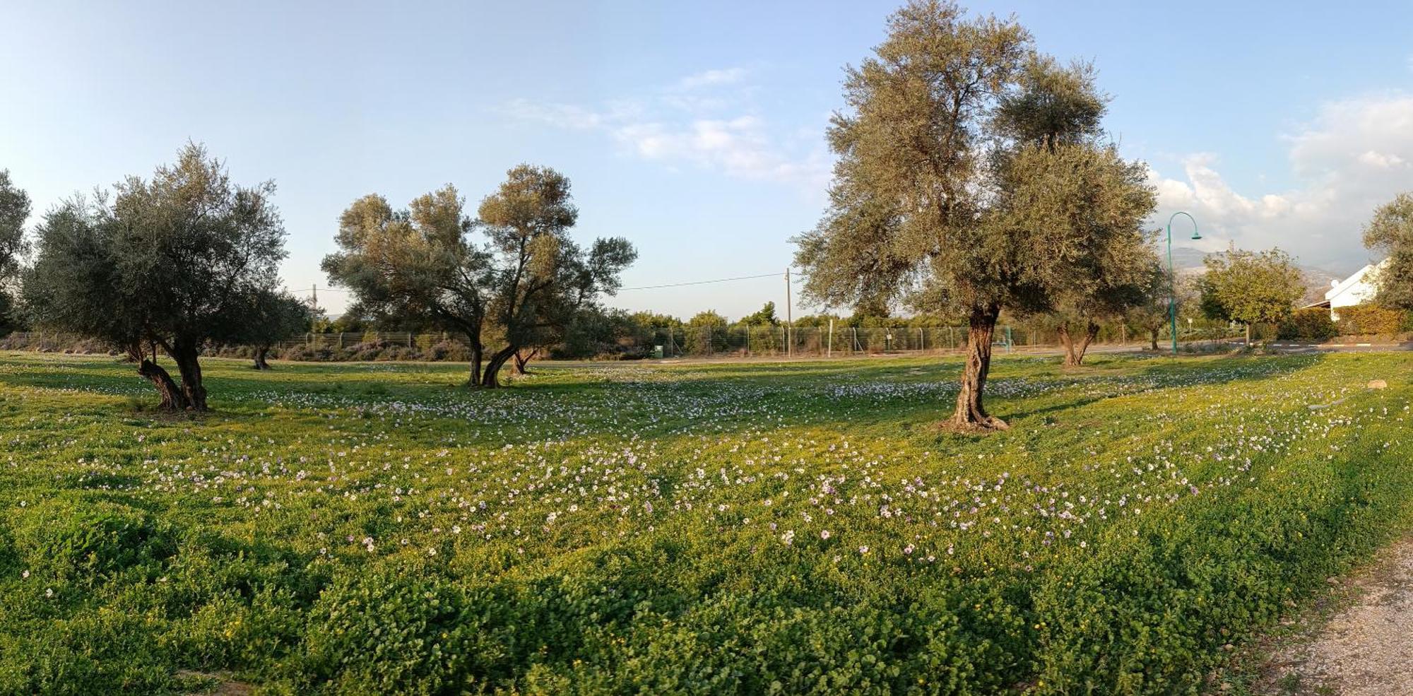 Huge & Private Villa In Kibbutz 다프나 외부 사진