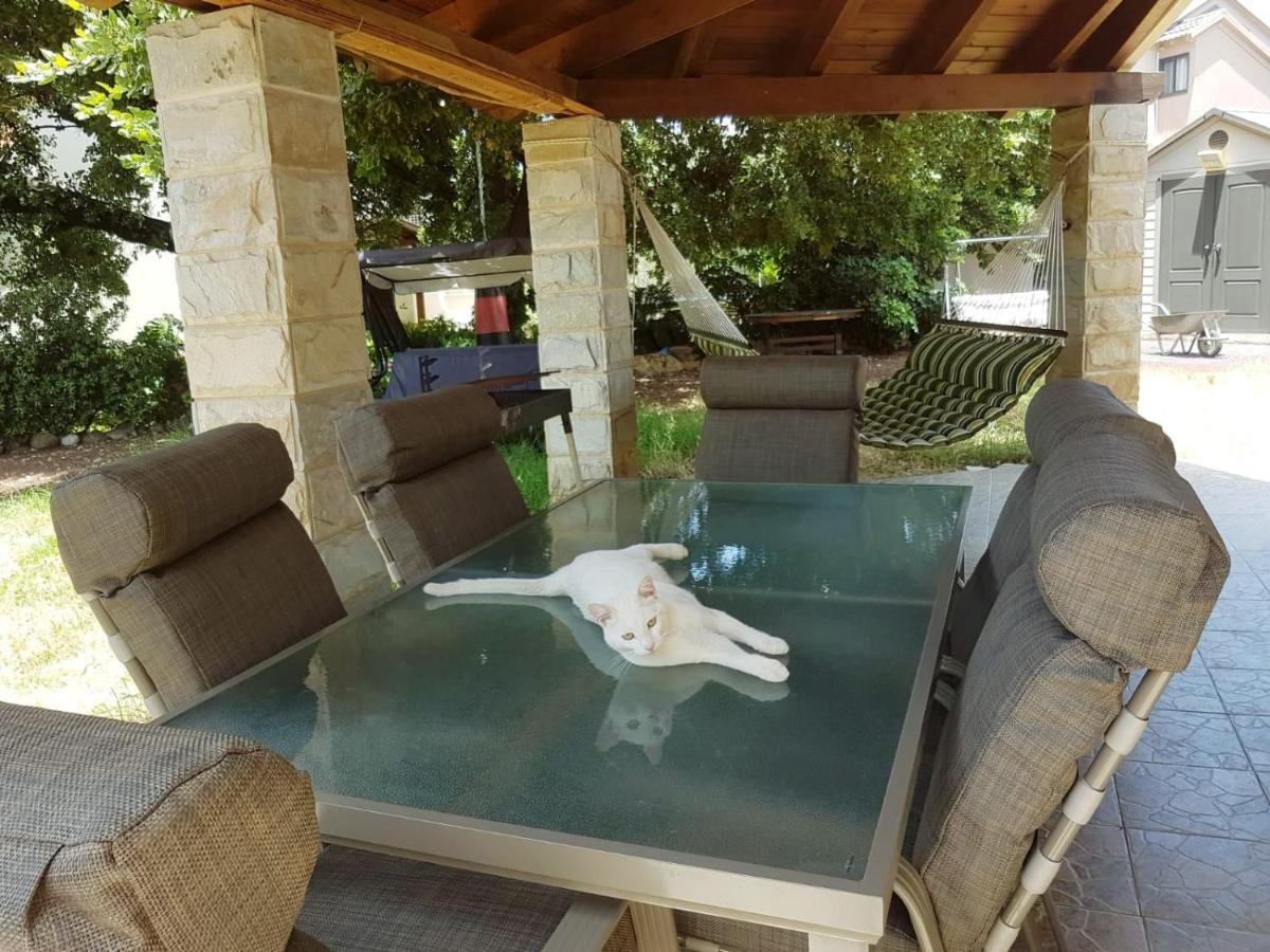 Huge & Private Villa In Kibbutz 다프나 외부 사진